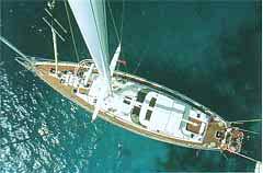 DEMOISELLES Above.jpg