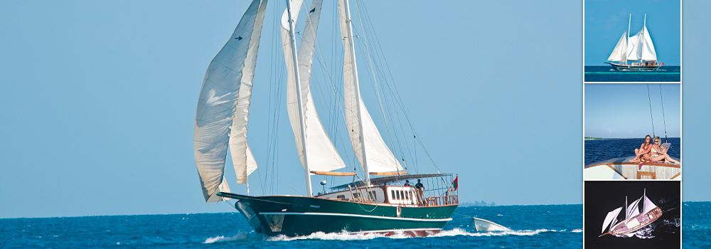 DREAM VOYAGER -  Cruising 2.jpg