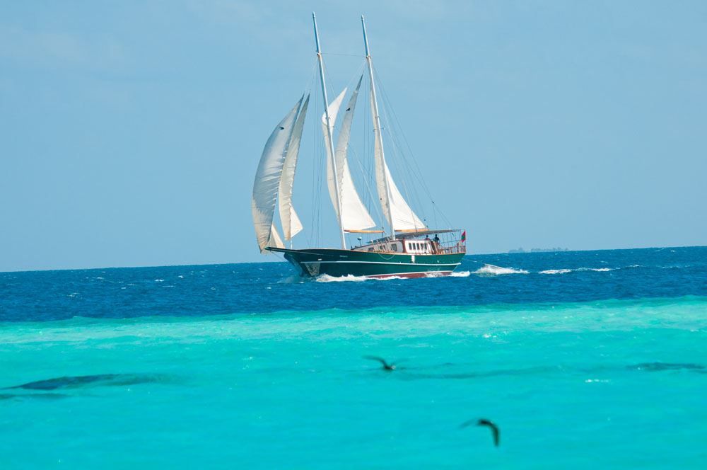 DREAM VOYAGER -  On Charter.jpg