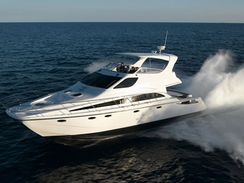 Eagle Ray - Fast and Economical.jpg