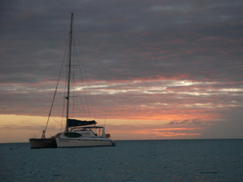 Free Ingwe - Sunset.jpg