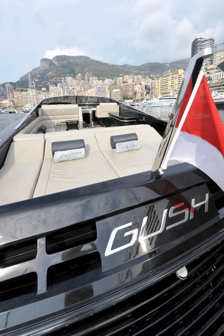 GUSH -  Detail.jpg