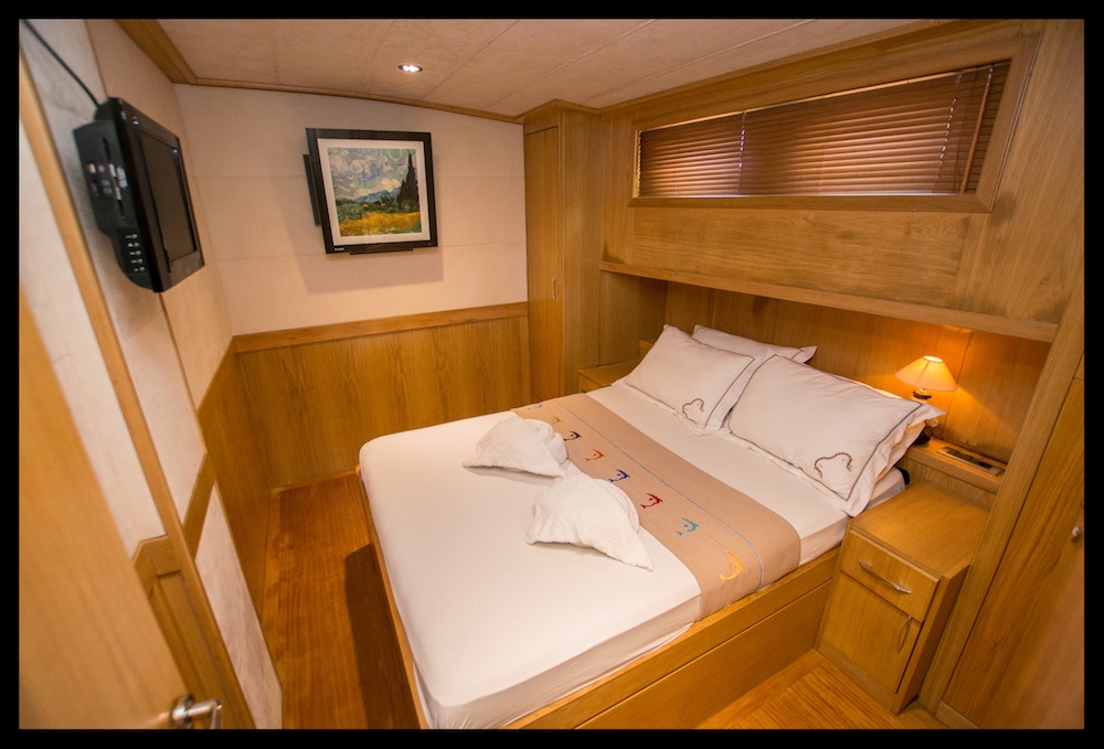Gulet ALBATROS A - DOUBLE CABIN  3.jpg