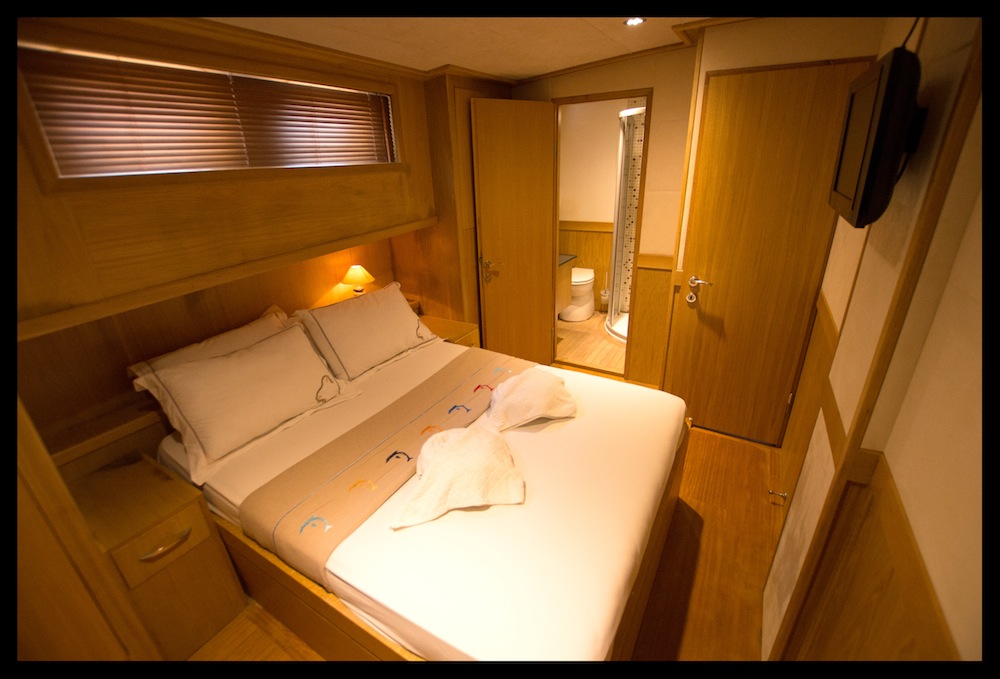 Gulet ALBATROS A - DOUBLE CABIN 2.jpg