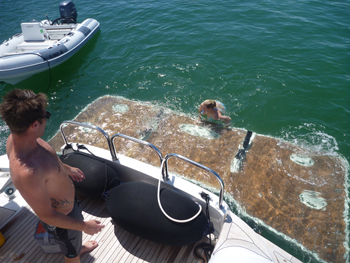 HAIL MARY hydraulic swim platform.jpg