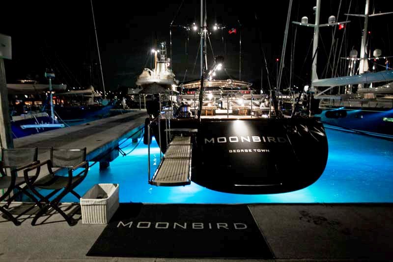Moonbird -  At Night.jpg