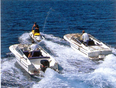 Moonmaiden -  Tenders and Toys.jpg