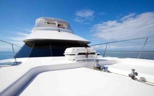 Motor Cat WILD ORCHID -  Foredeck.jpg