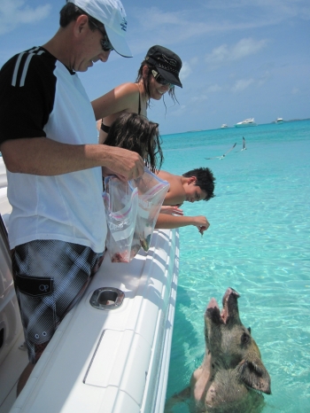 Motor yacht Sioux Empress - Feeding Pigs.jpg