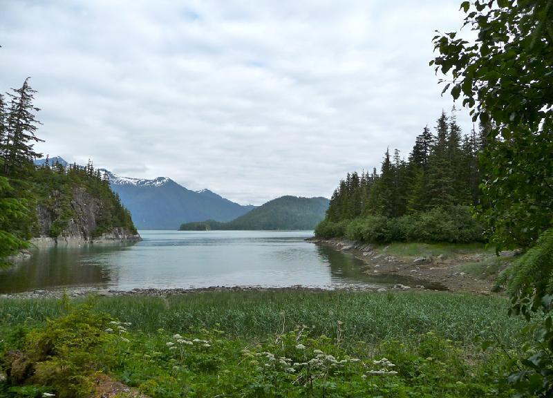Motor yacht VIAGGIO -  Alaskan Wilderness.jpg