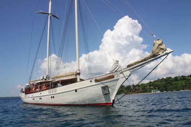 Mutiara Laut phinis bow.png