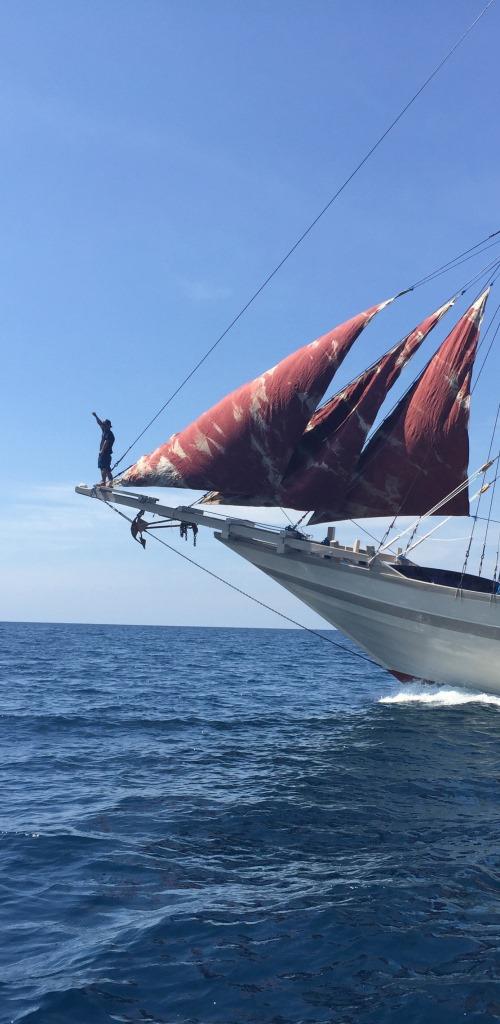 Nyaman - Bow.jpg