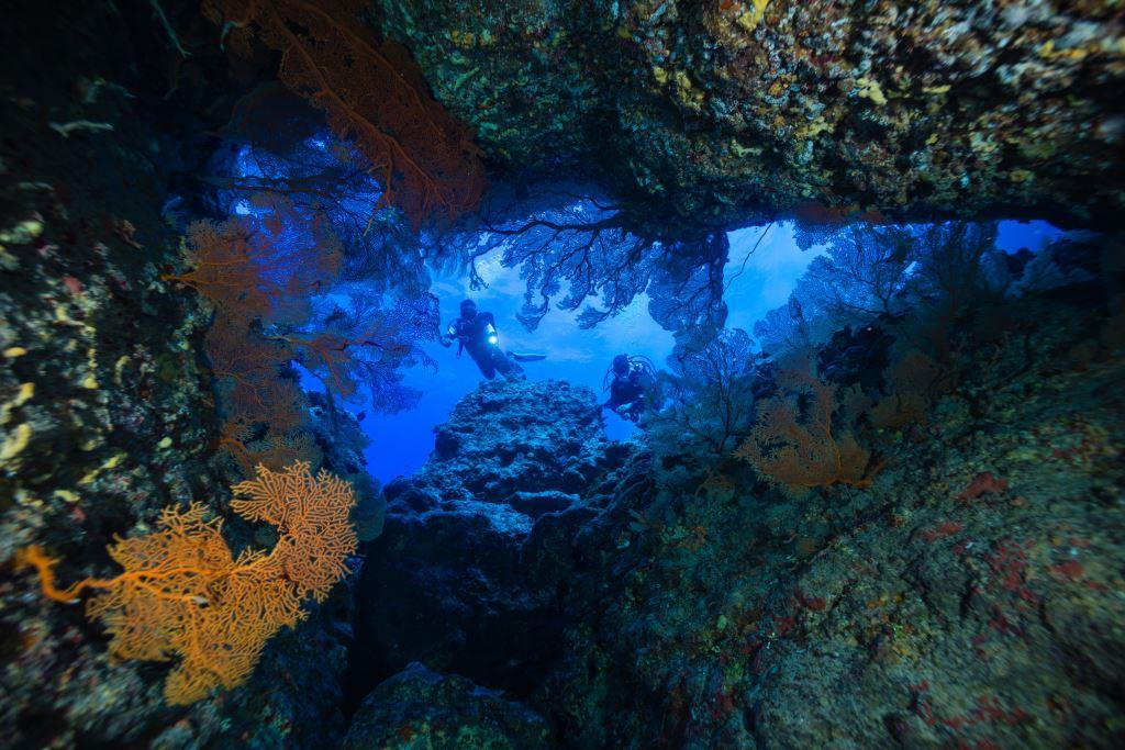 Nyaman - Cave Diving.jpg