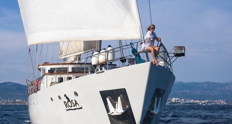 ROSA - Bow.jpg