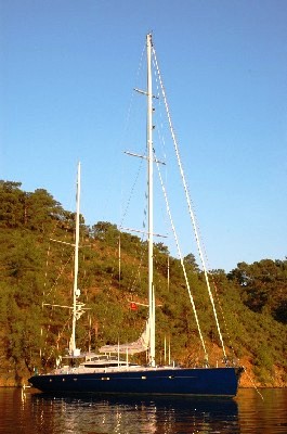 Rosinante of Notika  Long.jpg