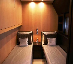 SADELAN II -  Twin.jpg
