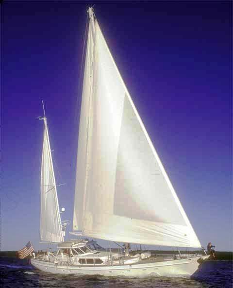 SEA ANGEL -  Cruising.jpg