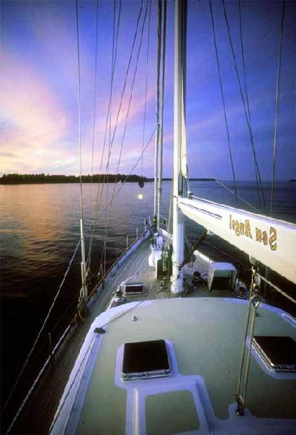 SEA ANGEL -  Deck.jpg