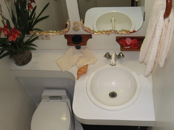SHAITAN OF TORTOLA -  Ensuite.jpg