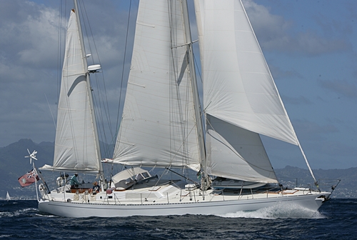 SHAITAN OF TORTOLA -  Profile.jpg