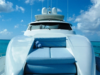 SHEAR FANTASEA -  Bow.jpg