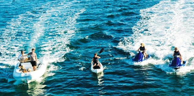 SHEAR FANTASEA -  Toys.jpg