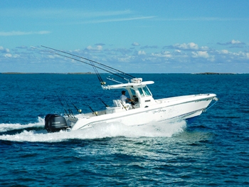 SHEAR FANTASEA - tenders.jpg