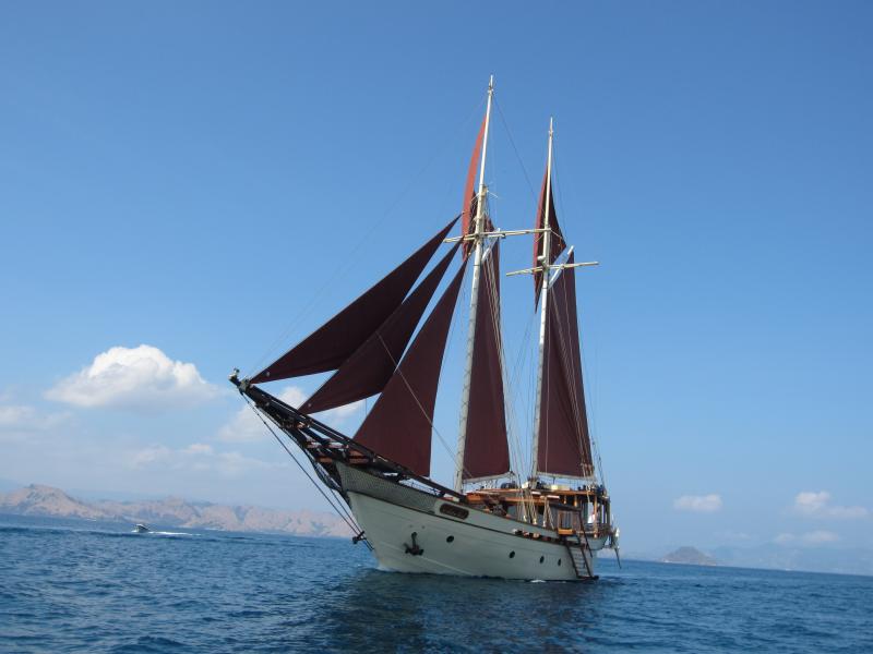 SI DATU BUA Sails.JPG