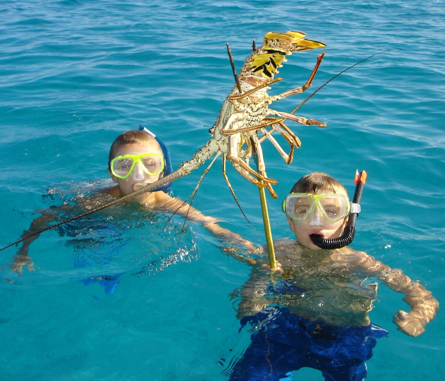 SOLSTICE -  Diving for Lobster.jpg