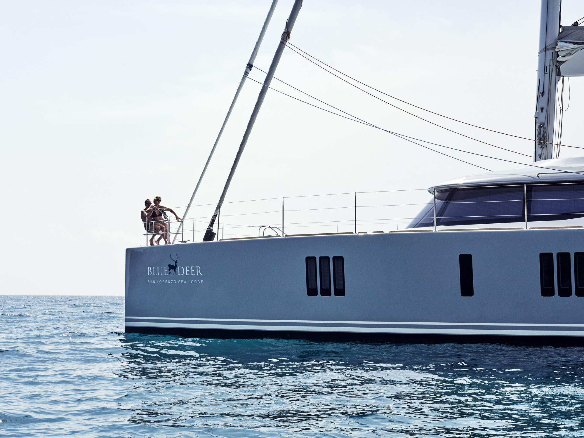 SY BLUE DEER - 004.jpg