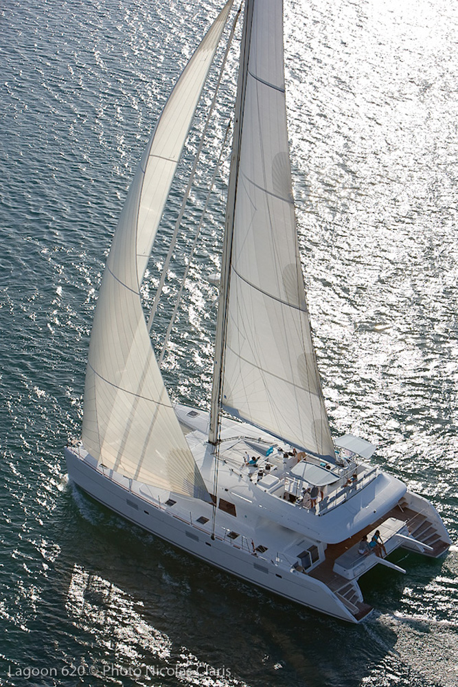 SY MOOSE - 001.jpg