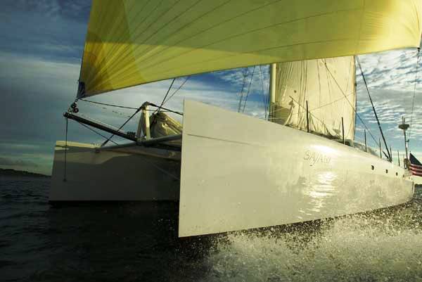 Safari Under Sail.jpg