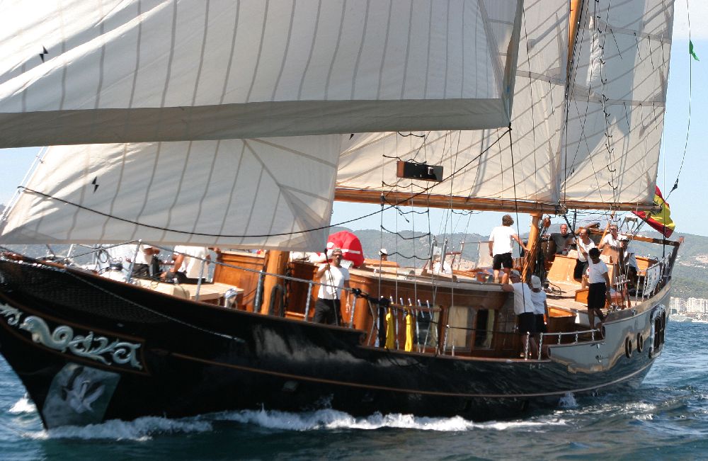 Sail Yacht DOLPHIN - Profile.jpg