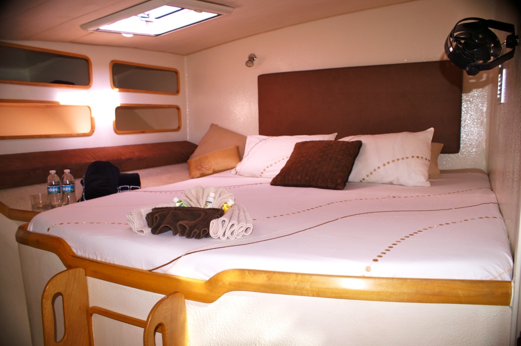 Sailing Catamaran - 42 - Guest Cabin.JPG