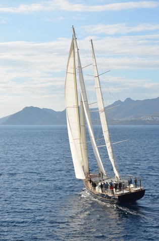 Sailing yacht KESTREL -  Sailing.jpg
