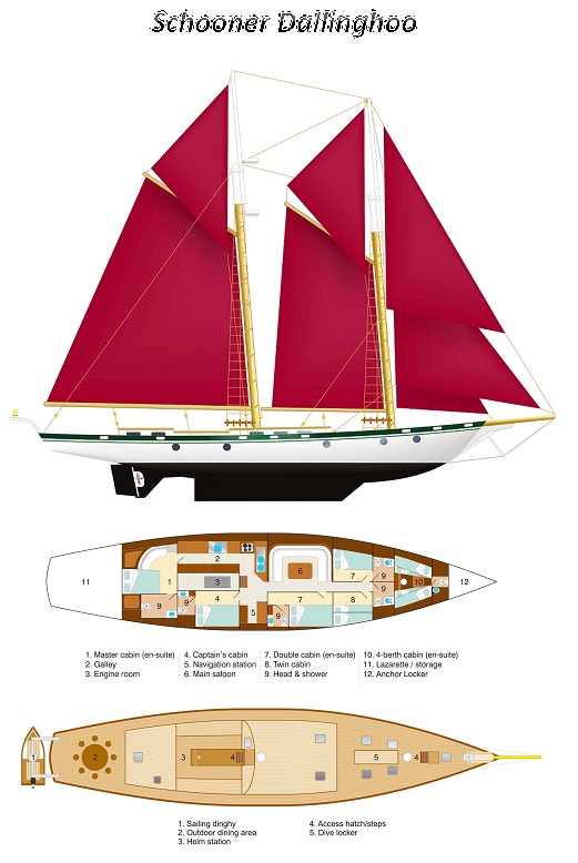 Schooner Dallinghoo - Layout.jpg