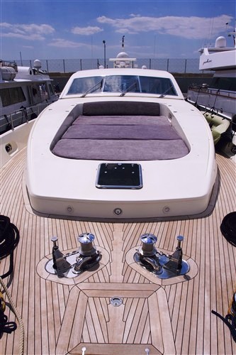 Sea lion II -  Forepeak.jpg