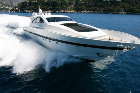 Sea lion II -  Main.jpg