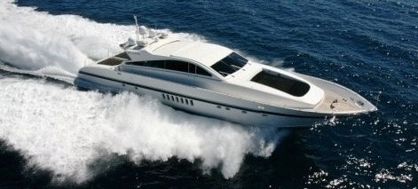 Sea lion II -  Rnning shot.jpg