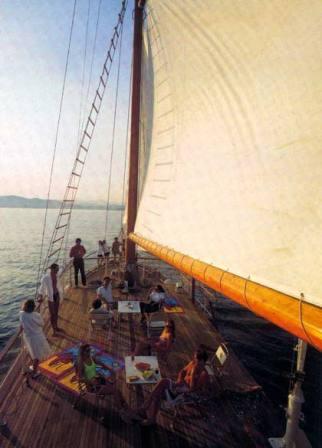 SeaCrowndeck_big.jpg