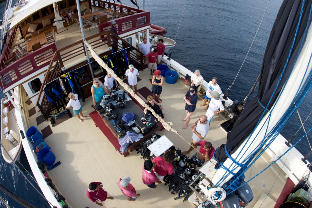Seven Seas Dive Deck.jpg