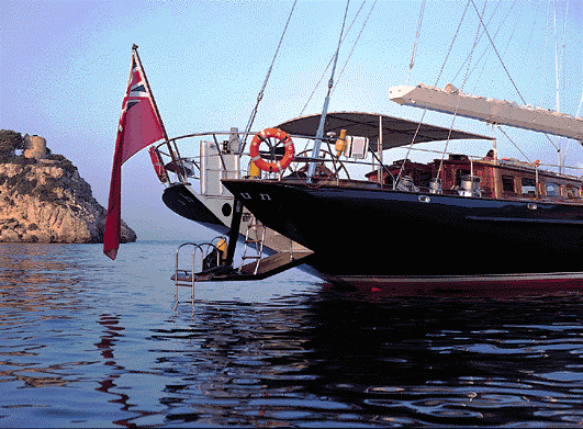 Shamoun-aft1.gif