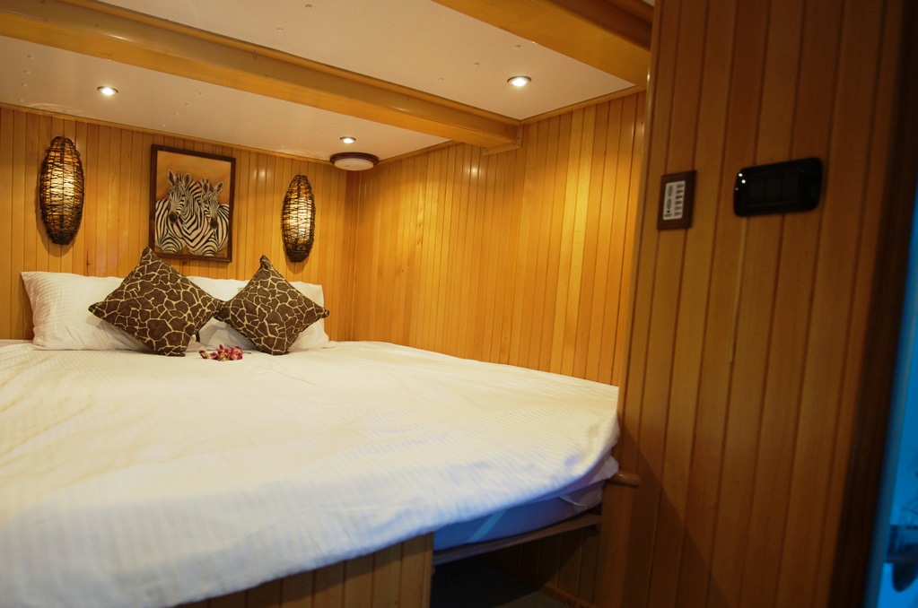 Shangani -  Zebra Suite converted.jpg