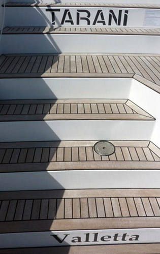 TARANI -  Steps.jpg