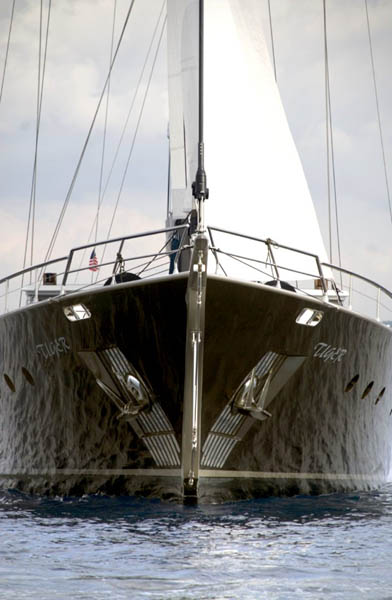 Tiger - The Bow.jpg