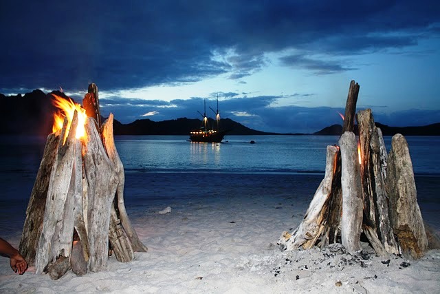 Tiger Blue -  Bonfire on the Beach.JPG