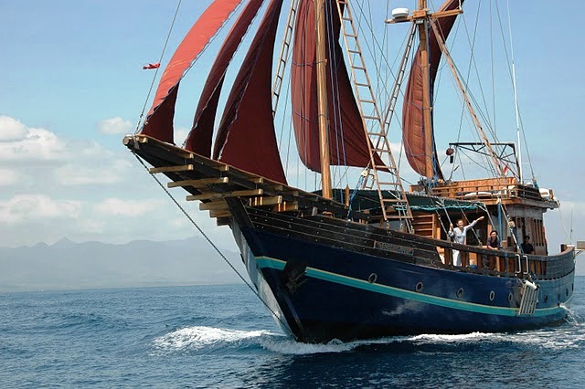 Tiger Blue -  Cruising.JPG