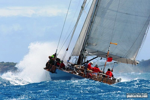 Volterra -  Heineken Regatta 2009.jpg