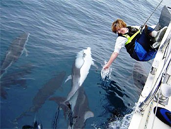 Western Grace and the Dolphins.jpg