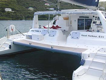 Wild Thing - Transom.jpg
